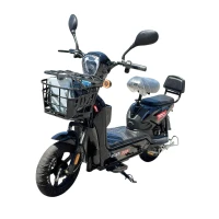 Электроскутер Snapy 700